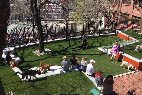 RUFF North End Dog Park photo 1